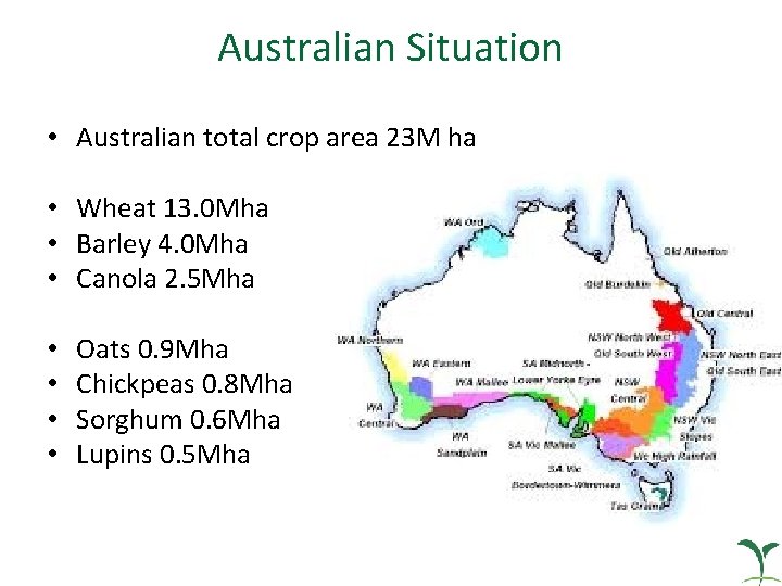 Australian Situation • Australian total crop area 23 M ha • Wheat 13. 0