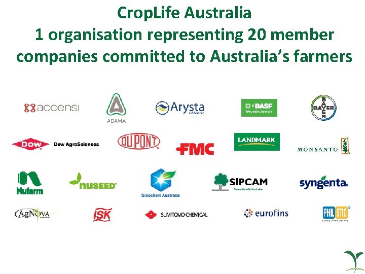 Crop. Life Australia 1 organisation representing 20 member companies committed to Australia’s farmers 