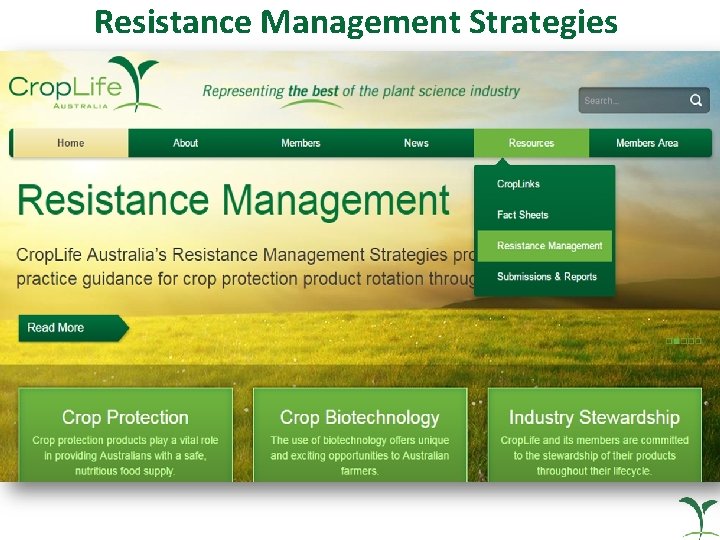 Resistance Management Strategies 