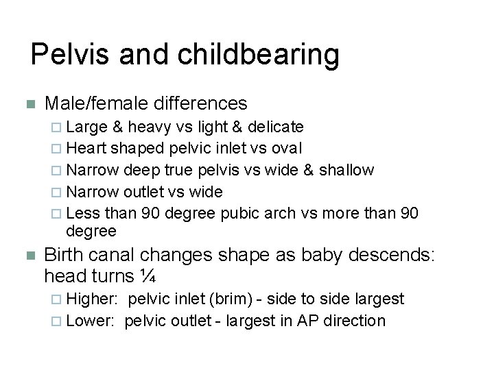 Pelvis and childbearing n Male/female differences ¨ Large & heavy vs light & delicate