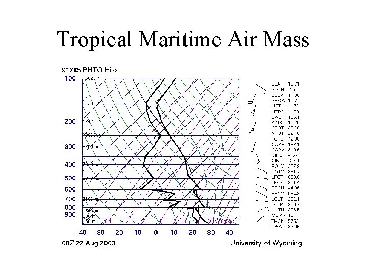Tropical Maritime Air Mass 