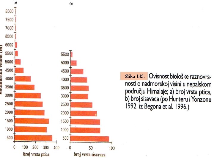 Slika 145. 