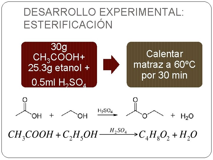 DESARROLLO EXPERIMENTAL: ESTERIFICACIÓN 30 g CH 3 COOH+ 25. 3 g etanol + 0.