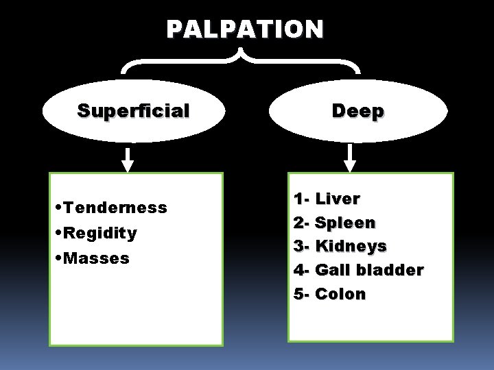 PALPATION Superficial • Tenderness • Regidity • Masses Deep 1 - Liver 2 -