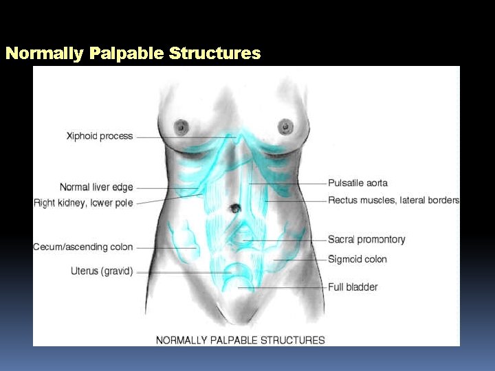 Normally Palpable Structures 