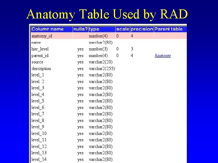Anatomy Table Used by RAD Anatomy Table Used by RAD