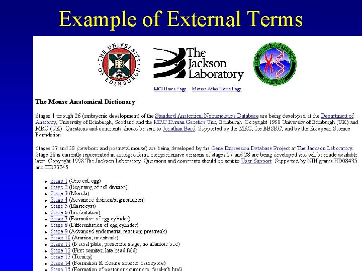 Example of External Terms Example of External Terms