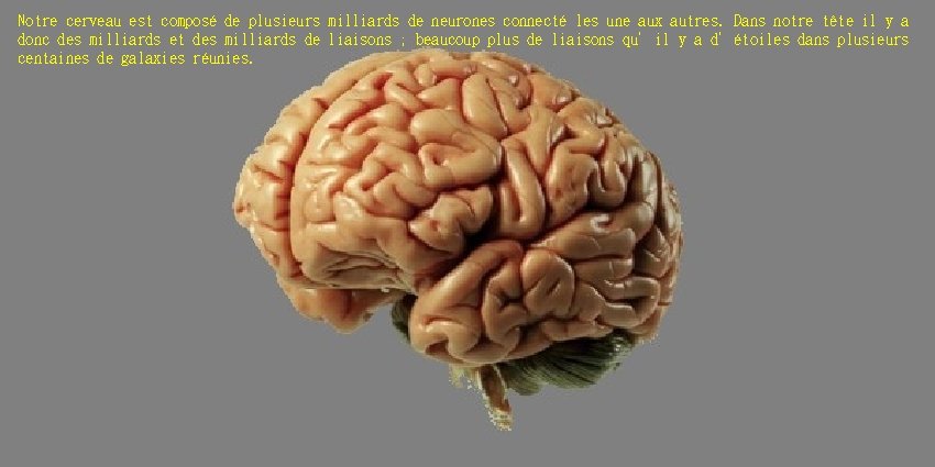 Notre cerveau est composé de plusieurs milliards de neurones connecté les une aux autres.