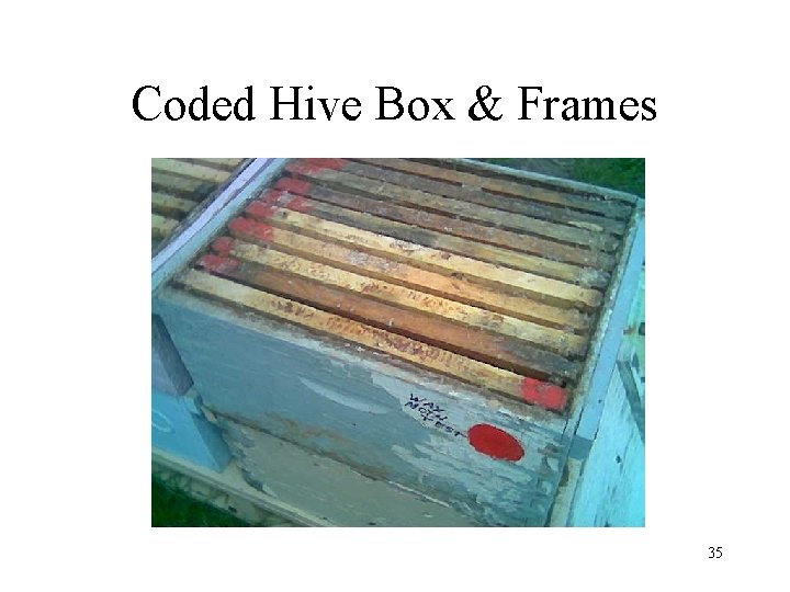 Coded Hive Box & Frames 35 