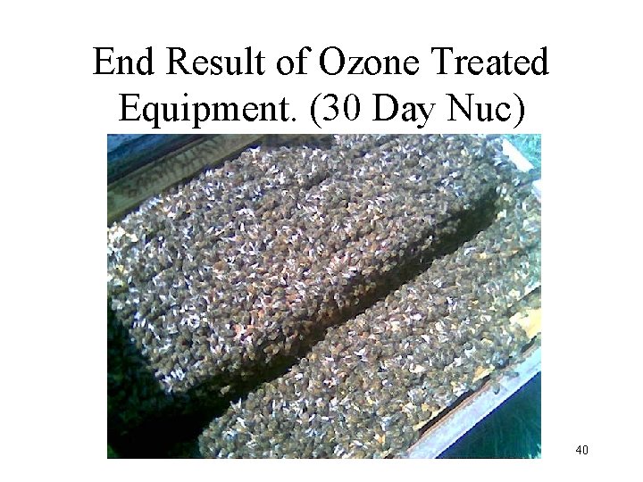 End Result of Ozone Treated Equipment. (30 Day Nuc) 40 