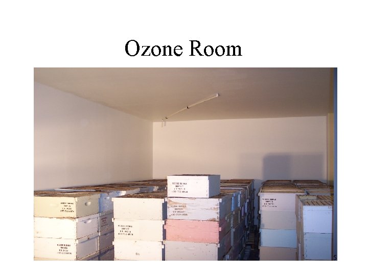Ozone Room 5 