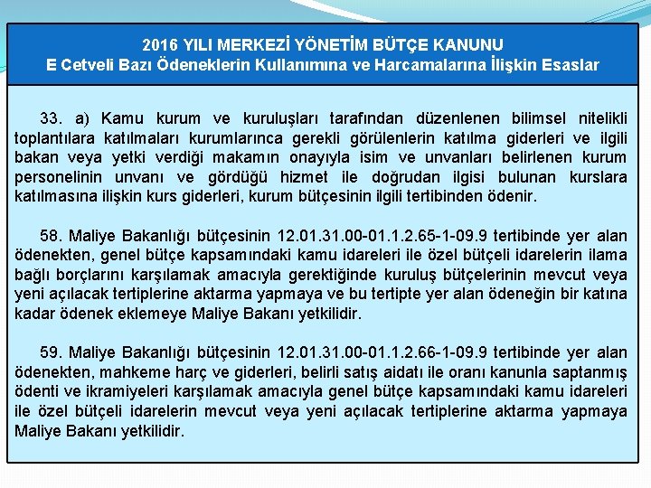 2016 YILI MERKEZİ YÖNETİM BÜTÇE KANUNU E Cetveli Bazı Ödeneklerin Kullanımına ve Harcamalarına İlişkin