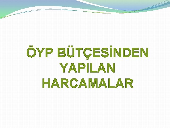 ÖYP BÜTÇESİNDEN YAPILAN HARCAMALAR 