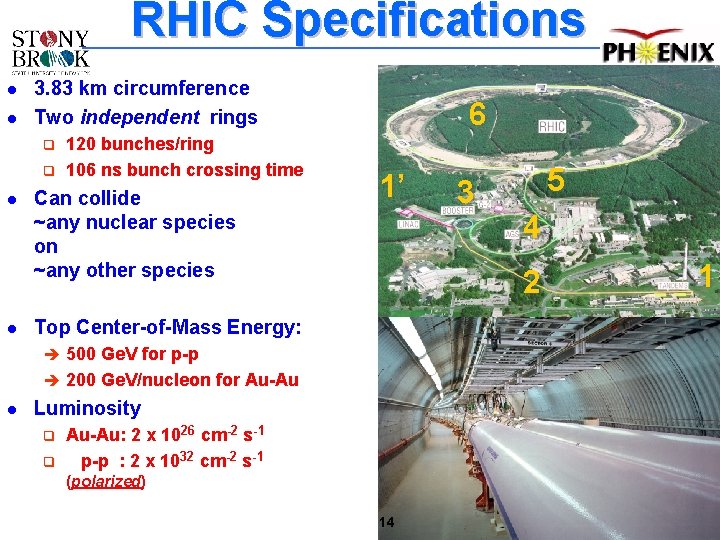 RHIC Specifications l l 3. 83 km circumference Two independent rings q q l