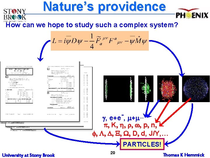 Nature’s providence How can we hope to study such a complex system? g, e+e-,