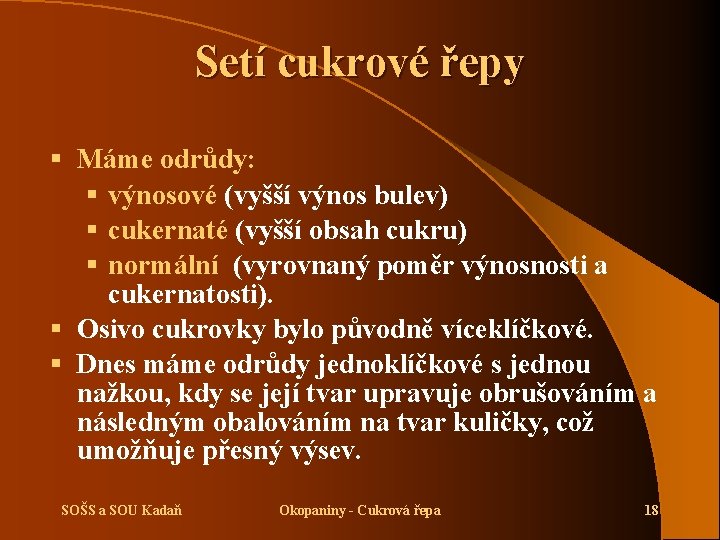 Setí cukrové řepy § Máme odrůdy: § výnosové (vyšší výnos bulev) § cukernaté (vyšší