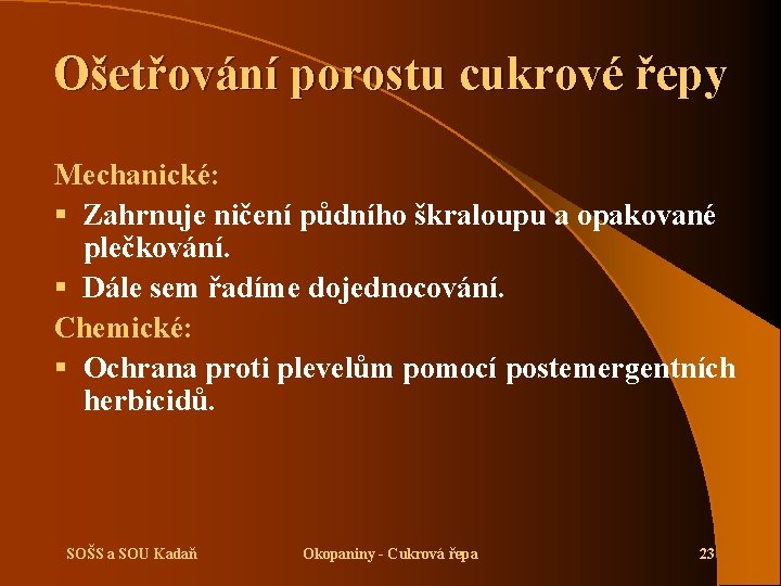 Ošetřování porostu cukrové řepy Mechanické: § Zahrnuje ničení půdního škraloupu a opakované plečkování. §