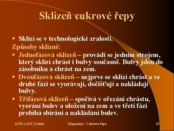 Sklizeň cukrové řepy § Sklízí se v technologické zralosti. Způsoby sklizně: § Jednofázová sklizeň