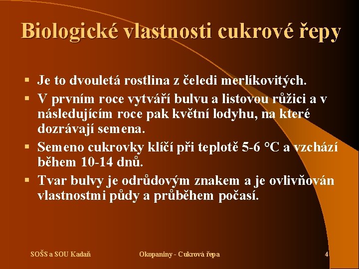 Biologické vlastnosti cukrové řepy § Je to dvouletá rostlina z čeledi merlíkovitých. § V