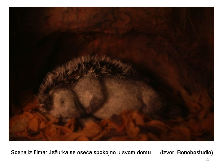 Scena iz filma: Ježurka se oseća spokojno u svom domu (Izvor: Bonobostudio) 22 