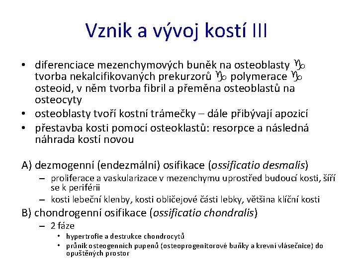 Vznik a vývoj kostí III • diferenciace mezenchymových buněk na osteoblasty tvorba nekalcifikovaných prekurzorů