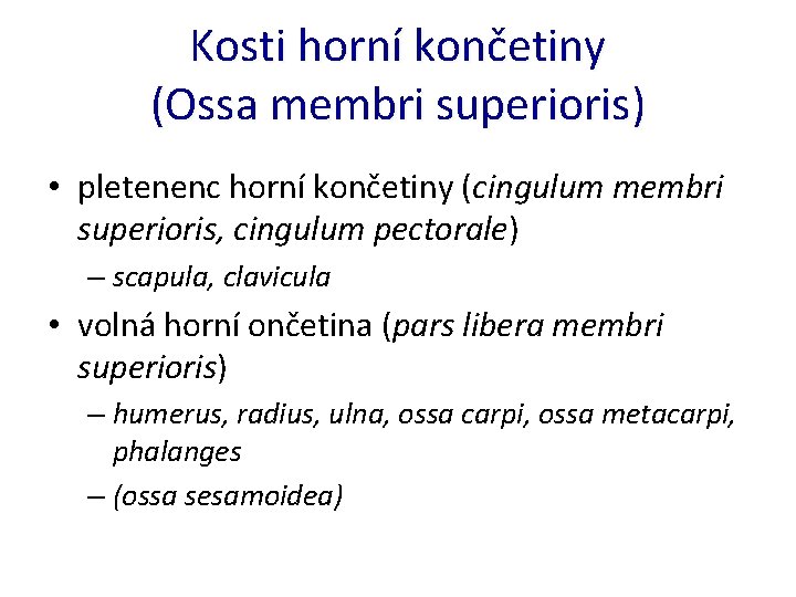 Kosti horní končetiny (Ossa membri superioris) • pletenenc horní končetiny (cingulum membri superioris, cingulum