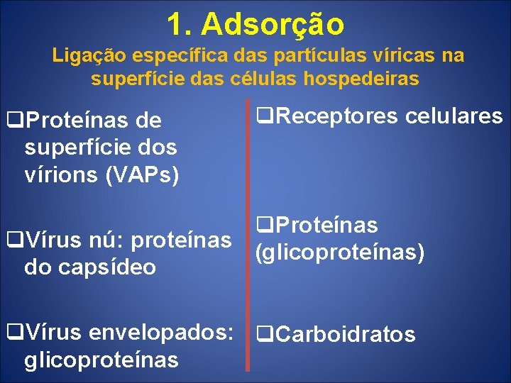 1. Adsorção Ligação específica das partículas víricas na superfície das células hospedeiras q. Proteínas