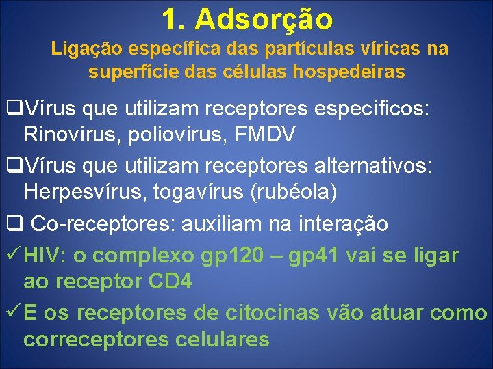 1. Adsorção Ligação específica das partículas víricas na superfície das células hospedeiras q. Vírus