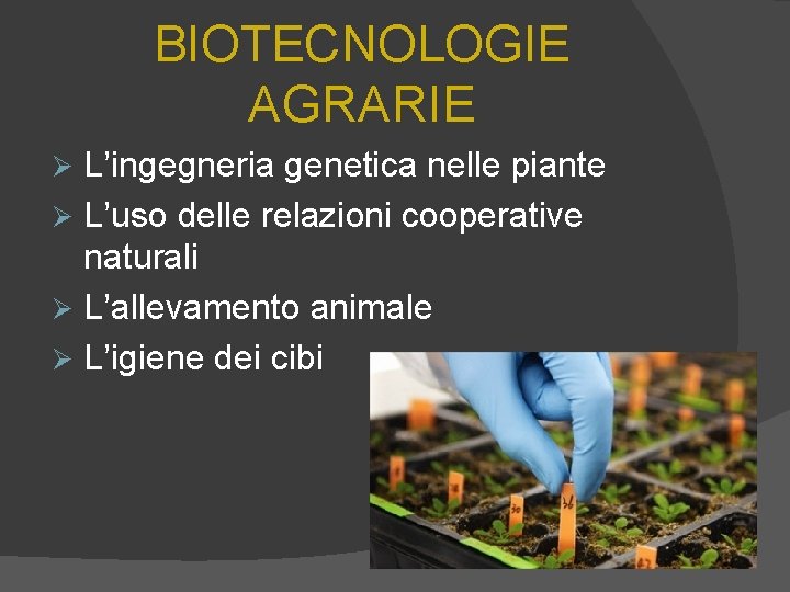 BIOTECNOLOGIE AGRARIE L’ingegneria genetica nelle piante Ø L’uso delle relazioni cooperative naturali Ø L’allevamento