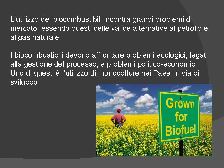 L’utilizzo dei biocombustibili incontra grandi problemi di mercato, essendo questi delle valide alternative al