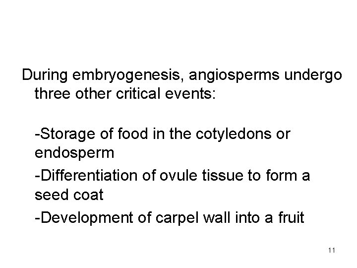 During embryogenesis, angiosperms undergo three other critical events: -Storage of food in the cotyledons