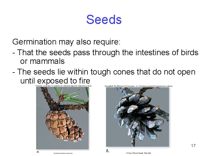 Seeds Germination may also require: - That the seeds pass through the intestines of