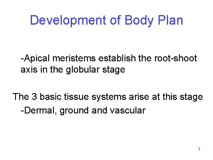 Development of Body Plan -Apical meristems establish the root-shoot axis in the globular stage