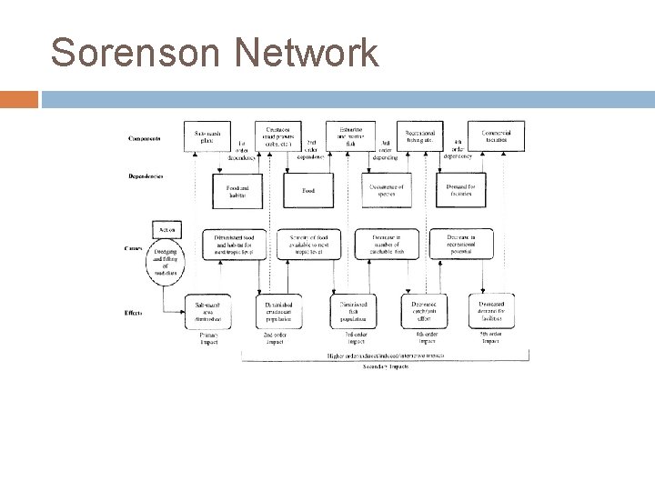 Sorenson Network 