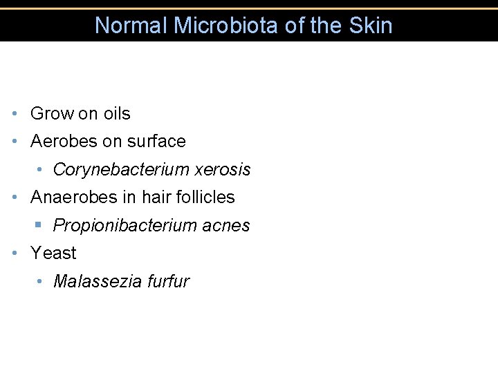 Normal Microbiota of the Skin • Grow on oils • Aerobes on surface •