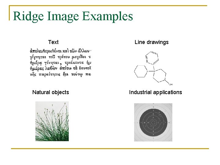 Ridge Image Examples Text Natural objects Line drawings Industrial applications 