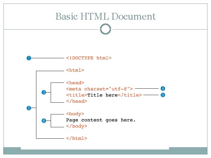 Basic HTML Document 