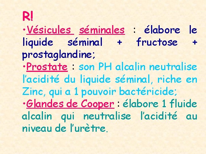 R! • Vésicules séminales : élabore le liquide séminal + fructose + prostaglandine; •