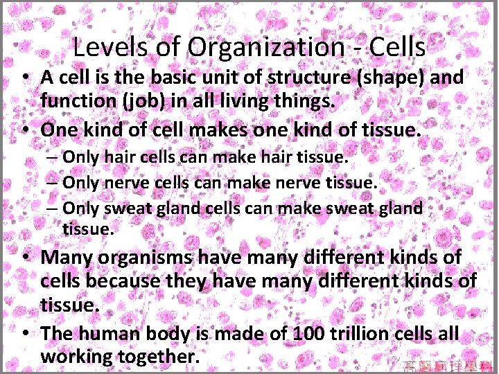 Levels of Organization - Cells • A cell is the basic unit of structure