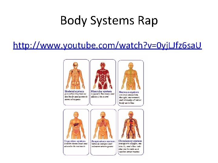 Body Systems Rap http: //www. youtube. com/watch? v=0 yj. LJfz 6 sa. U 