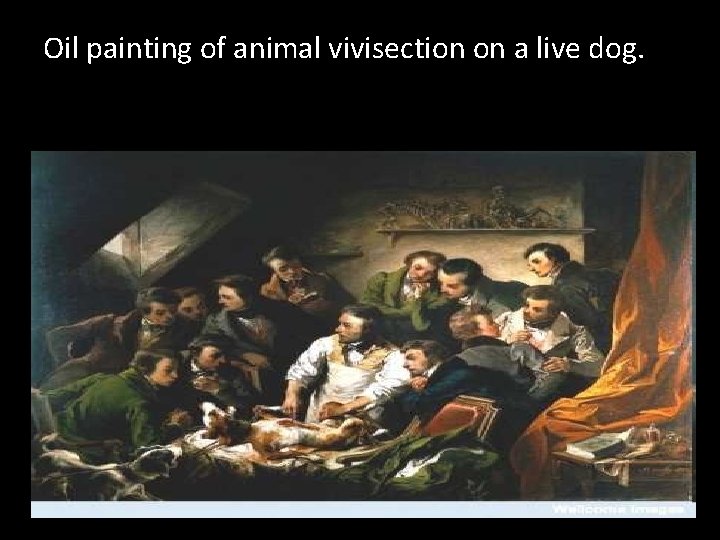 Oil painting of animal vivisection on a live dog. Copyright © 2010 Ryan P.