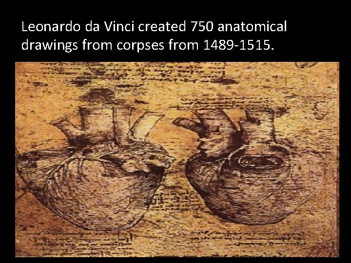 Leonardo da Vinci created 750 anatomical drawings from corpses from 1489 -1515. 