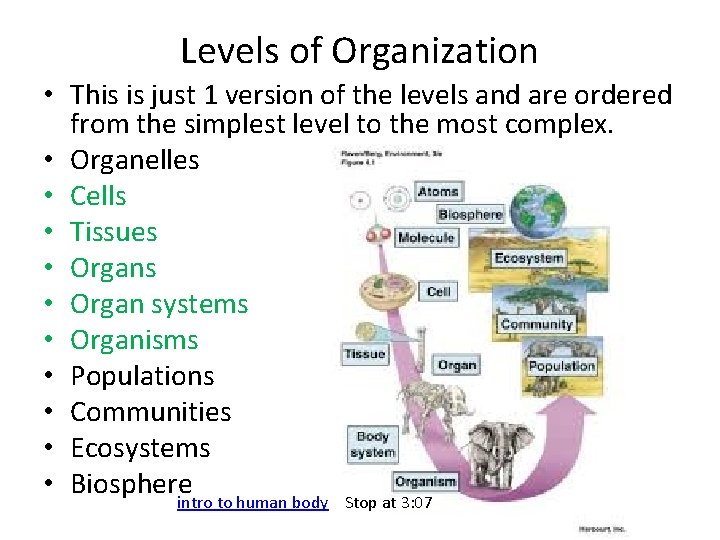 Levels of Organization • This is just 1 version of the levels and are