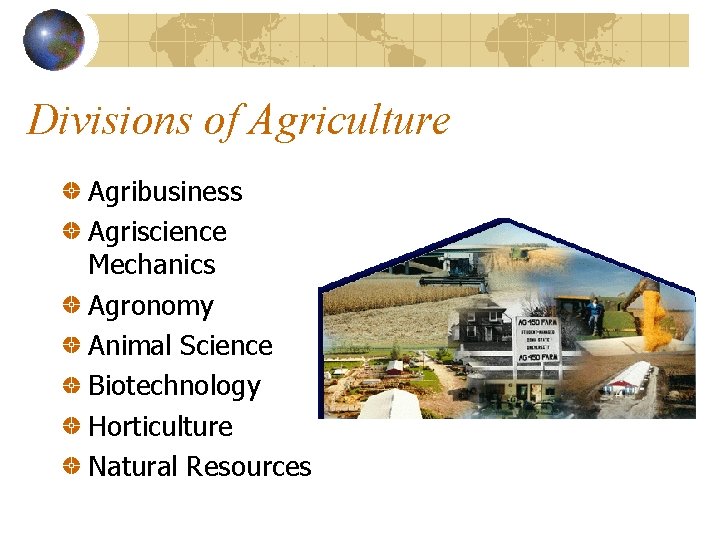 Divisions of Agriculture Agribusiness Agriscience Mechanics Agronomy Animal Science Biotechnology Horticulture Natural Resources 