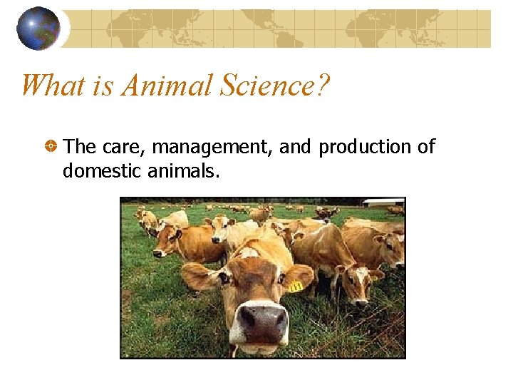 What is Animal Science? The care, management, and production of domestic animals. 