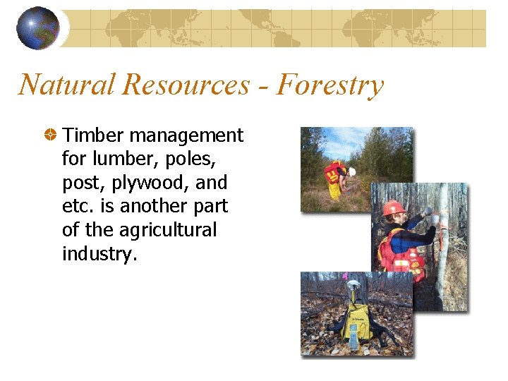 Natural Resources - Forestry Timber management for lumber, poles, post, plywood, and etc. is