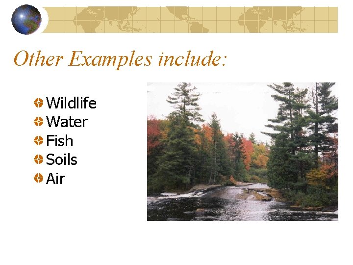 Other Examples include: Wildlife Water Fish Soils Air 
