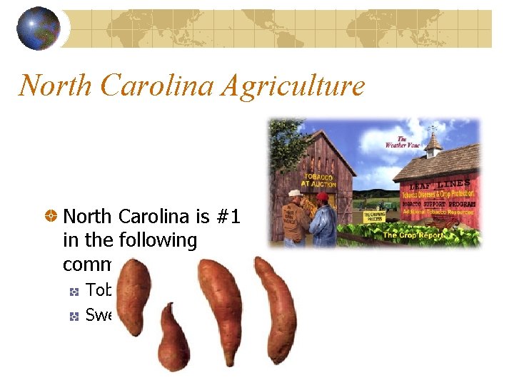 North Carolina Agriculture North Carolina is #1 in the following commodities. Tobacco Sweetpotatoes 