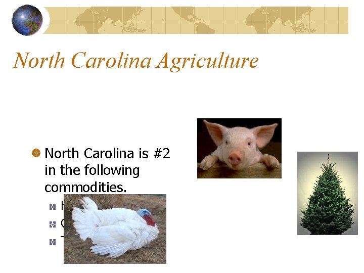 North Carolina Agriculture North Carolina is #2 in the following commodities. Hogs Christmas Trees