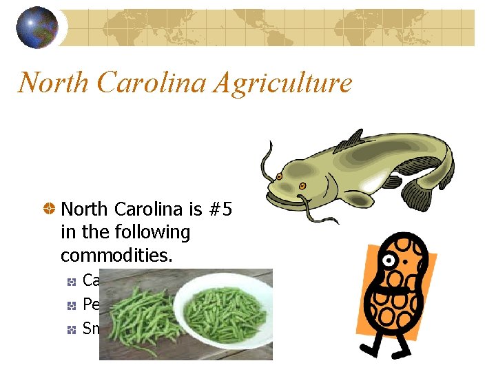 North Carolina Agriculture North Carolina is #5 in the following commodities. Catfish Peanuts Snap